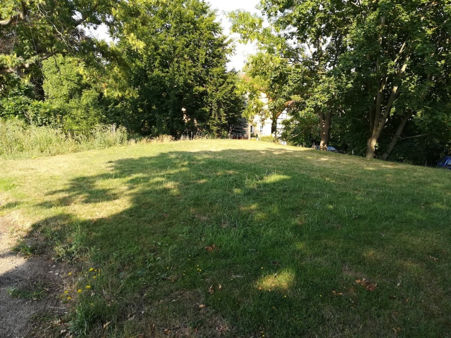 freie Fläche für Spielplatz